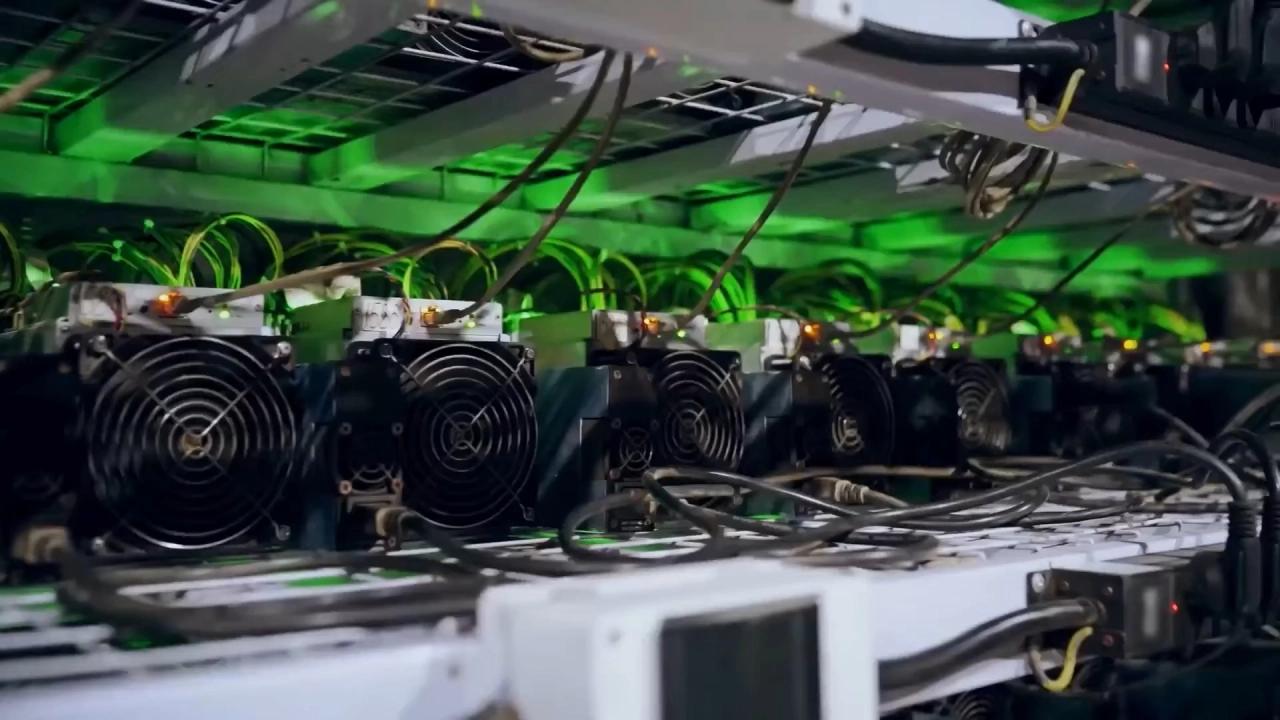 Поставки ASIC-майнеров и контейнерные майнинг-фермы собственной комплектации