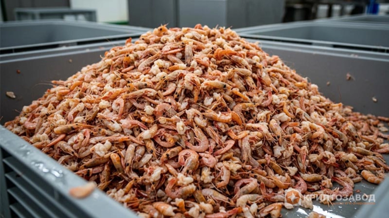 Отходы производства креветок пускаем в доход через майнинг и электроэнергию Отходы производства креветок пускаем в доход через майнинг и электроэнергию